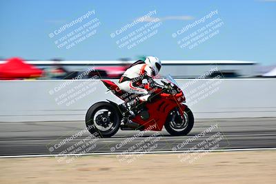 media/Mar-25-2024-Moto Forza (Mon) [[8d4319bd68]]/3-Intermediate Group/Session 4 (Front Straight Speed Pans)/